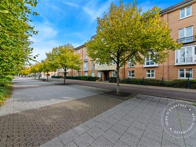 Picture 22